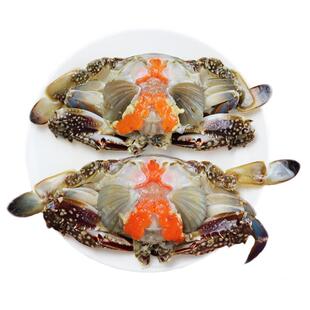 【保鲜不保活】莱州湾梭子蟹新鲜大母蟹红膏蟹野生螃蟹可清蒸满黄