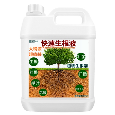 生根液促根水扦插生根发芽