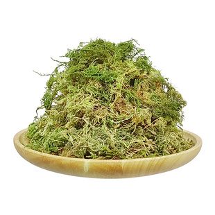干苔藓水苔藓乌龟冬眠蝴蝶兰石斛兰兰花通用盆景种植土疏松透气