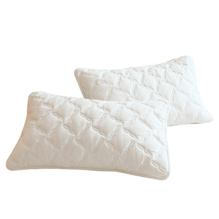 纯棉枕套一对装2025新款枕头套48cmx74cm单个加厚夹棉防水枕芯套