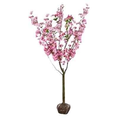 西府海棠花树苗地栽垂丝海棠北美海棠大苗海棠苗木本观花花卉植物