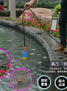 车载家用高压洗车12V 220V电动洗车器微型潜水泵洗车机清洗水枪