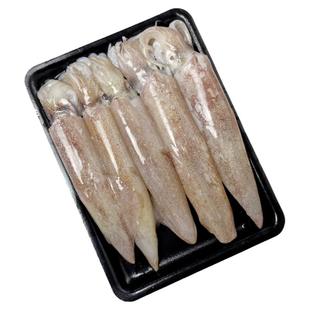 海钓红鱿鱼脆皮小管鲜活速冻野生硬皮枪火箭笔管乌贼海兔海鲜水产