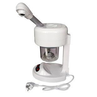 泰东热喷雾机台式热喷蒸脸器面部补水美容仪家用迷你大喷雾熏蒸仪