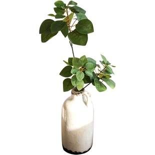 掬涵仿真紫荆叶枝叶绿植装饰艺术插花叶子叶脉仿真花ins花店