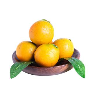 正宗 脆蜜金柑 广西融安第三代金桔无籽水果礼盒装新鲜顺丰直发