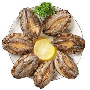 鲜活冷冻特大鲍鱼海鲜水产生鲜活超大带壳鲍鱼佛跳墙原料商用批发