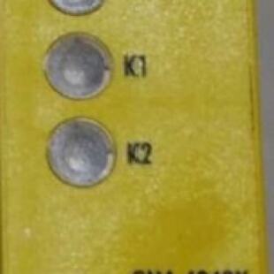 询价-德国WIELAND安全继电器SNA 4043K  SNA40