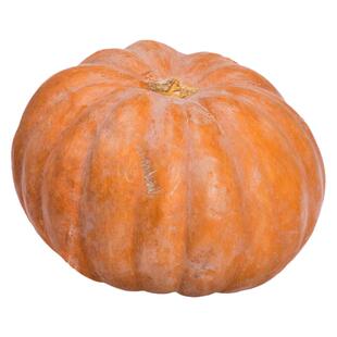 巨型南瓜种孑特大南瓜种子高产抗病四季观赏食用易种蔬菜种籽大全