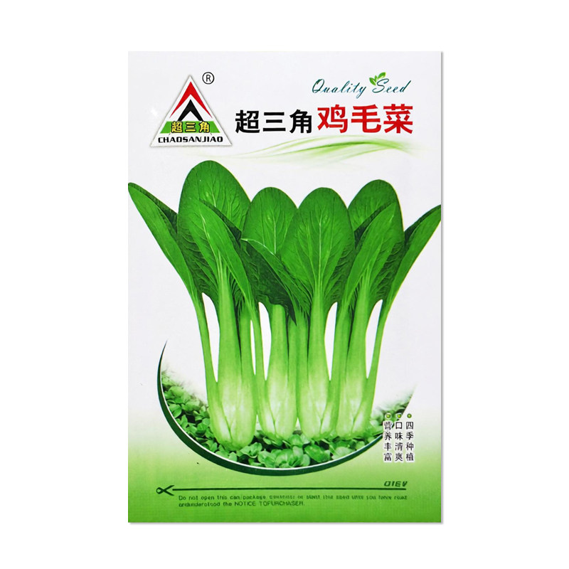 超三角鸡毛菜种子小青菜