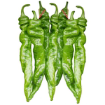 陇丰大果螺丝椒种子高产香辣长辣椒大果尖椒适应性广抗病蔬菜种籽