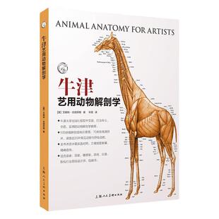 正版 牛津艺用动物解剖学 中英对照版500余幅常见动物解剖结构示意图动物骨骼与肌肉运动结构 动物绘画技法解剖教程教学工具书籍