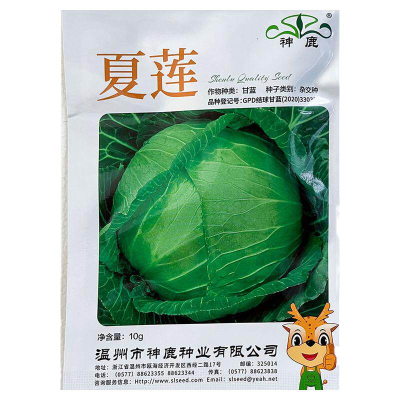 夏莲10g耐热甘蓝莲花白蔬菜种子