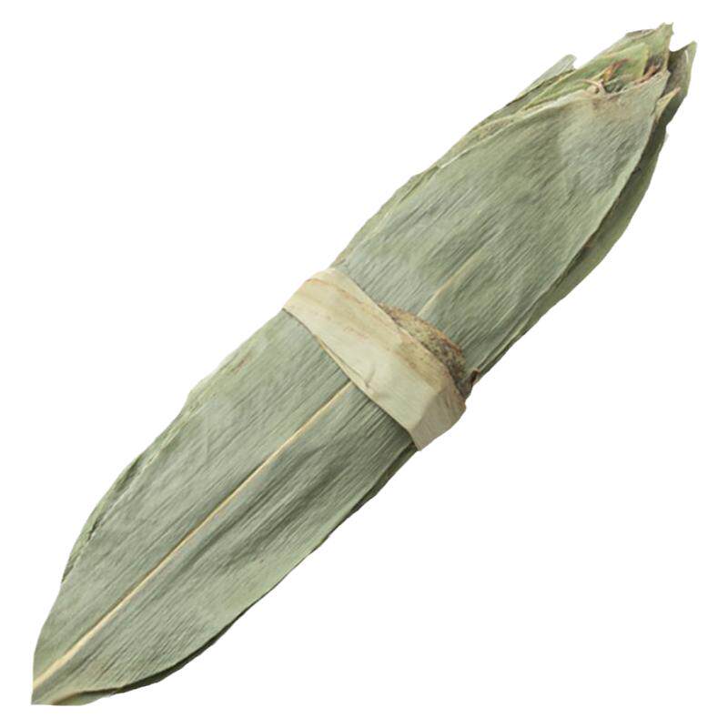 新鲜棕叶100片粽子特大