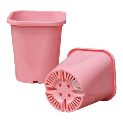 加厚酢浆草花盆月季蝴蝶兰盆