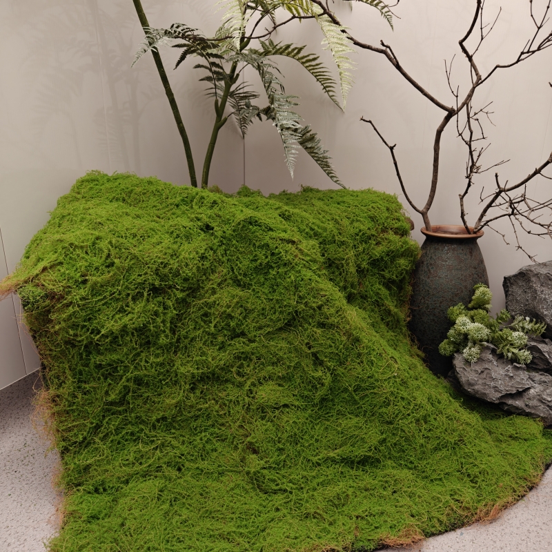 仿真草坪青苔草皮植绒椰丝苔藓墙面绿植造景装饰橱窗地面盆景展示