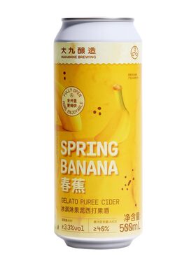 大九酿造果泥精酿啤酒2罐装