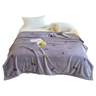 拉舍尔毛毯被子冬季加厚牛奶珊瑚宿舍午休盖毯披肩沙发毯子床上用