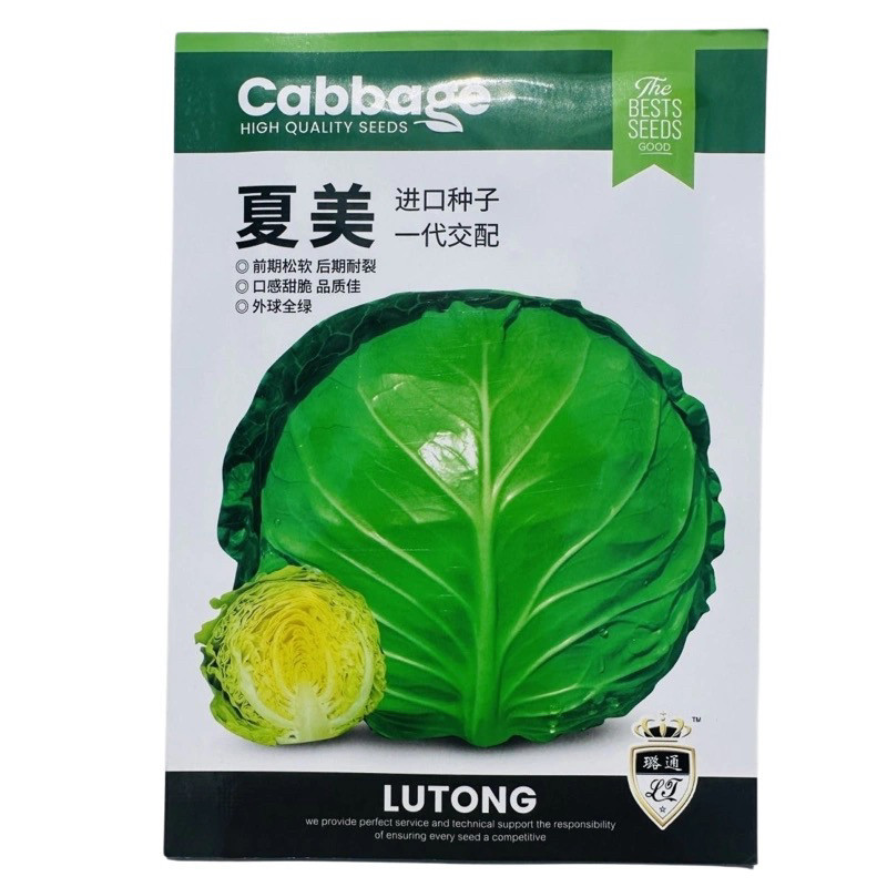 夏美甘蓝种籽正圆球型抗热抗病绿球甘蓝新品种耐高温包头菜种子
