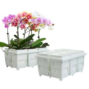 美莳蝴蝶兰专用花盆方形花架组合托盘托架透气水苔青山控根盆套盆