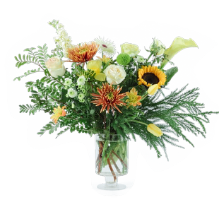 花点时间Pro隔周一鲜花鲜切花包月花卉云南基地直发冷链送花礼物