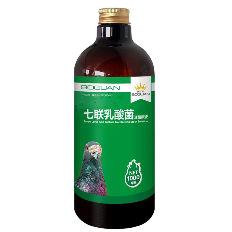 搏冠活菌肠道调理酵母噬菌体活菌