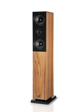德国原产家用发烧HIFI无源落地箱