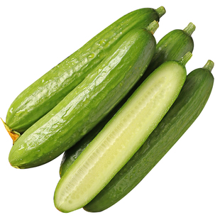 黄瓜新鲜小黄瓜水果小青瓜荷兰蔬菜农家10山东旱生吃5斤现摘现发