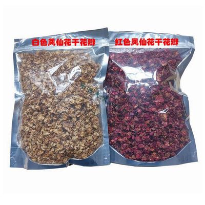 指甲草花新鲜小桃红植物凤仙花