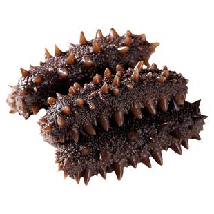 【7星】大连即食海参500g旗舰店开袋鲜活辽刺参海生野生海参礼盒