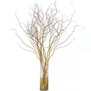 黄金龙柳鲜枝水培植物室内好养活绿植高级感客厅旺宅真花遇水生根