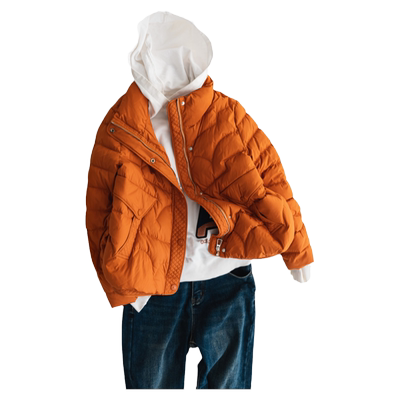 冬款90白鸭绒轻薄立领短款羽绒服