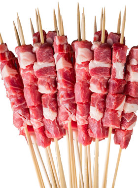 羊王肉业正宗内蒙古羔羊肉串烧烤食材半成品商用炸煎纯羊肉串