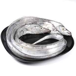 4斤舟山东海特大级带鱼小眼睛整条新鲜冷冻鲜活海鲜水产深海刀鱼