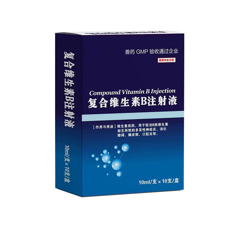 复合维生素B注射液癞皮病健胃