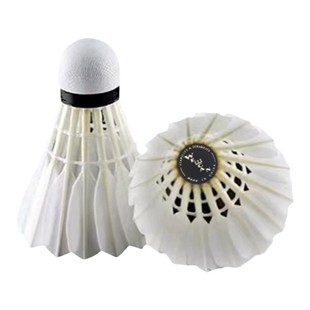 【正品黑威】WELLICAN羽毛球耐打飞行稳定金威红威绿威比赛训练球