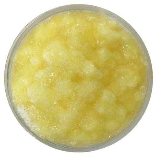 2026新蜂王浆 春浆 蜂皇浆 纯正天然蜂乳 自产自销 500g 包邮