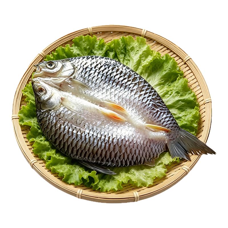供销甄选马来西亚忘不了鱼咸鲜嫩