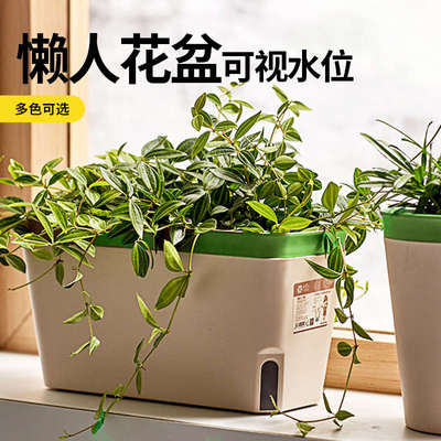 阳台小葱种菜盆长方形种菜花盆家用自吸水种葱神器蔬菜种植盆栽盆