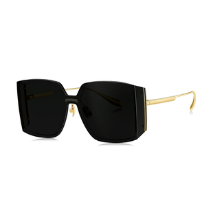 暴龙太阳眼镜女款2026新款防紫外线高级感大框防紫外线墨镜BL7203