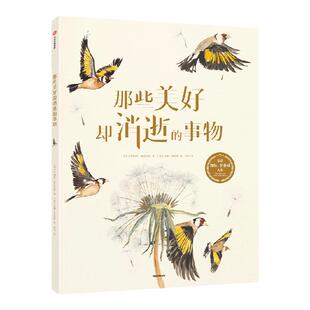 【4岁以上】那些美好却消逝的事物 罗伯特麦克法伦著 2019年凯特格林威大奖作品 一座可以走进每个家庭的博物馆 中信出版