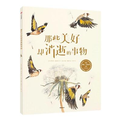 那些美好却消逝的事物中信出版