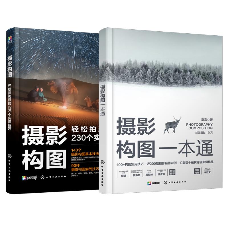 2册 摄影构图一本通+摄影构图 轻松拍美照的230个实用技巧 零基础新手小白入门初学者摄影构图技法实战技巧工具书籍 摄影名作实例