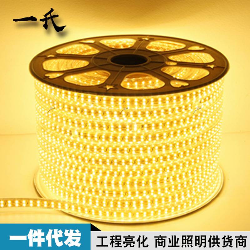 新款直销led灯带5050防水高压2835双排三排220V客厅彩霓虹柔性软