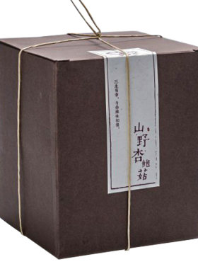 三生川杏鲍菇下饭菜罐装成都380g