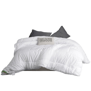 CASABLANCA卡撒天娇澳洲羊毛二合一子母被大豆纤维+羊毛四季被芯