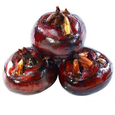 正宗新鲜马蹄荸荠特产地梨农家自种多汁孕妇时令马蹄果当季现挖