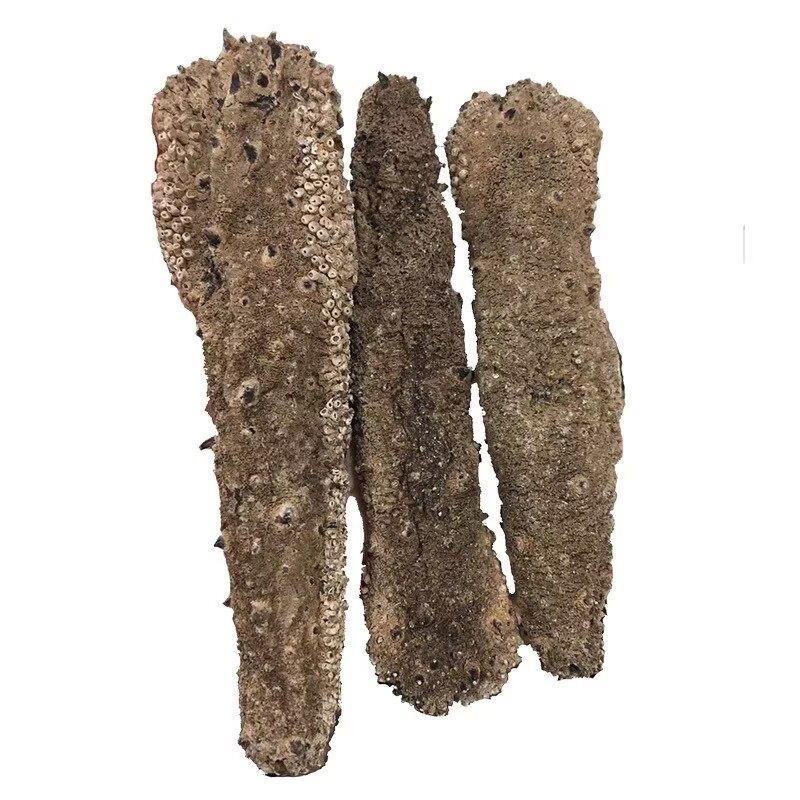 阿拉斯加红参美国海参进口野生海干品/即食海参