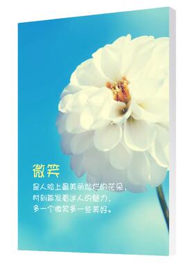 小清新励志唯美简约无框画