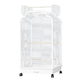 新型大号横丝鸟笼子鹦鹉笼专用玄凤虎皮牡丹文鸟画眉绣眼吸蜜八哥